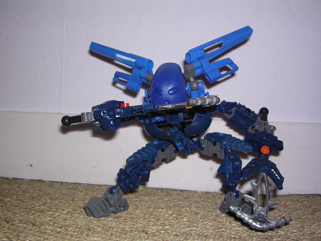 better_galhyhaka_02.jpg