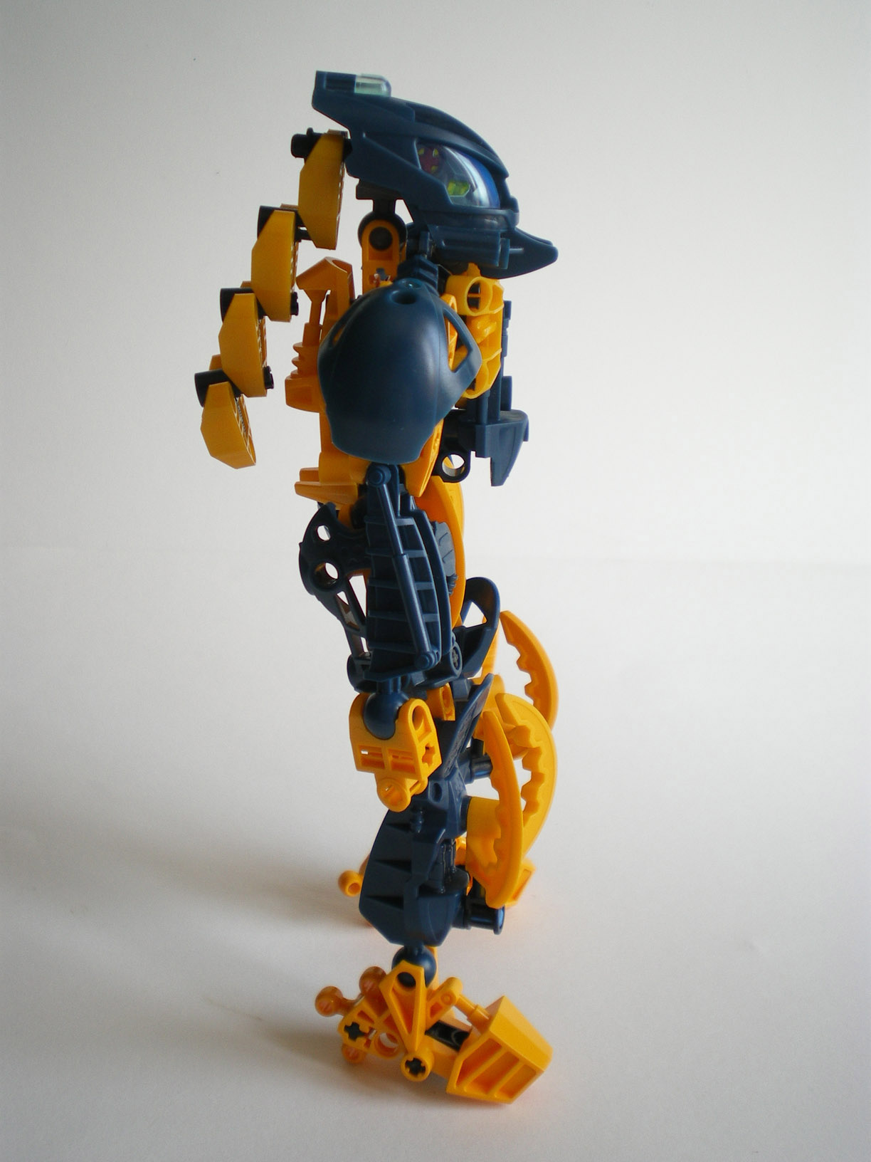 imgp9437.jpg