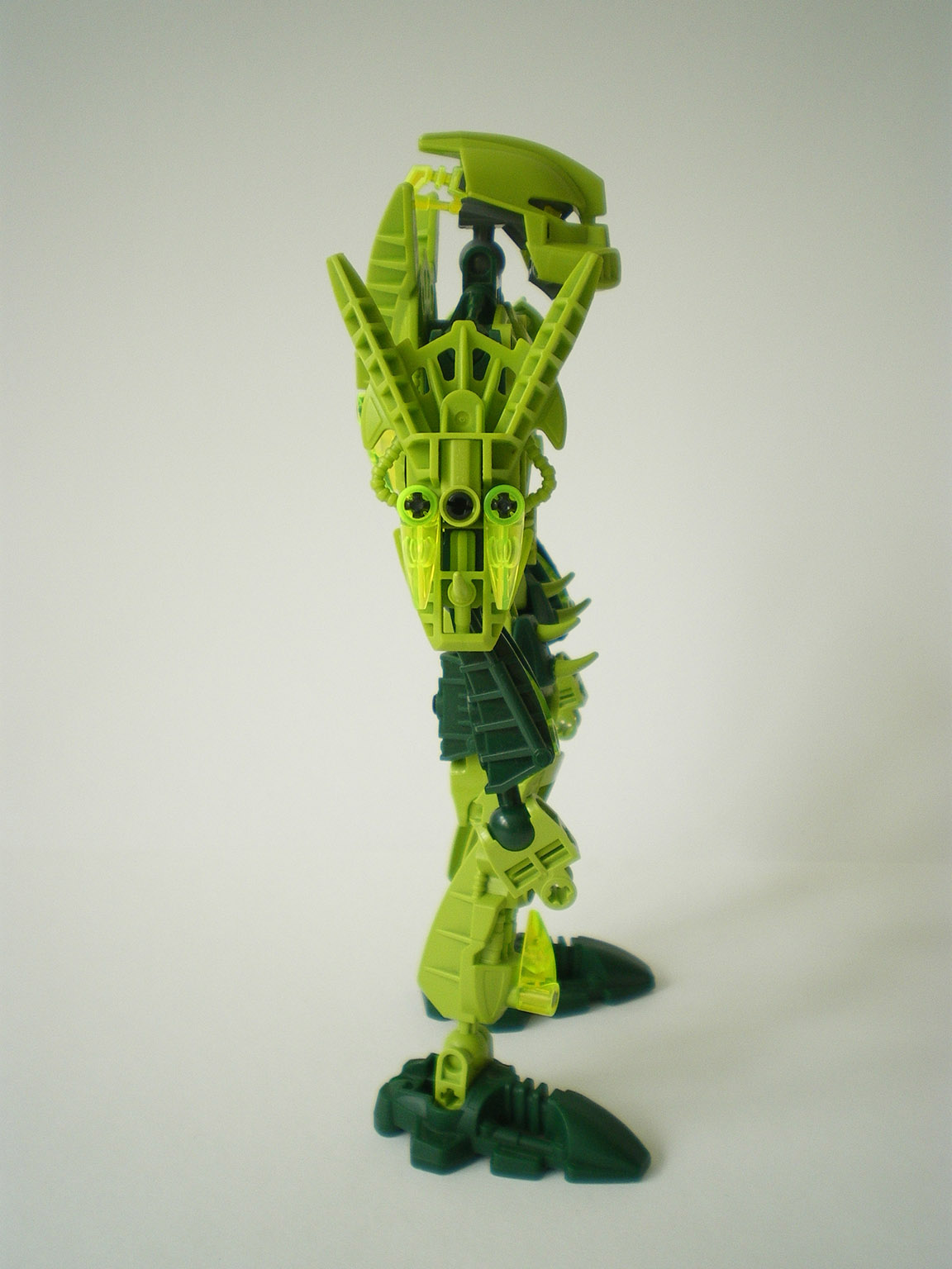 imgp5158.jpg