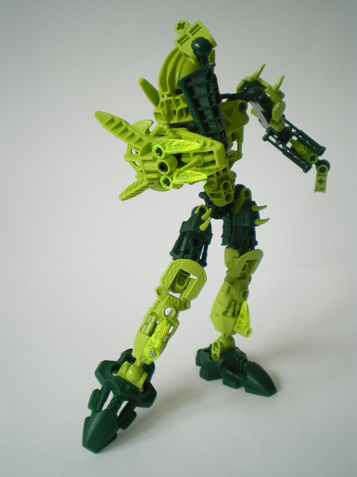 imgp5167.jpg