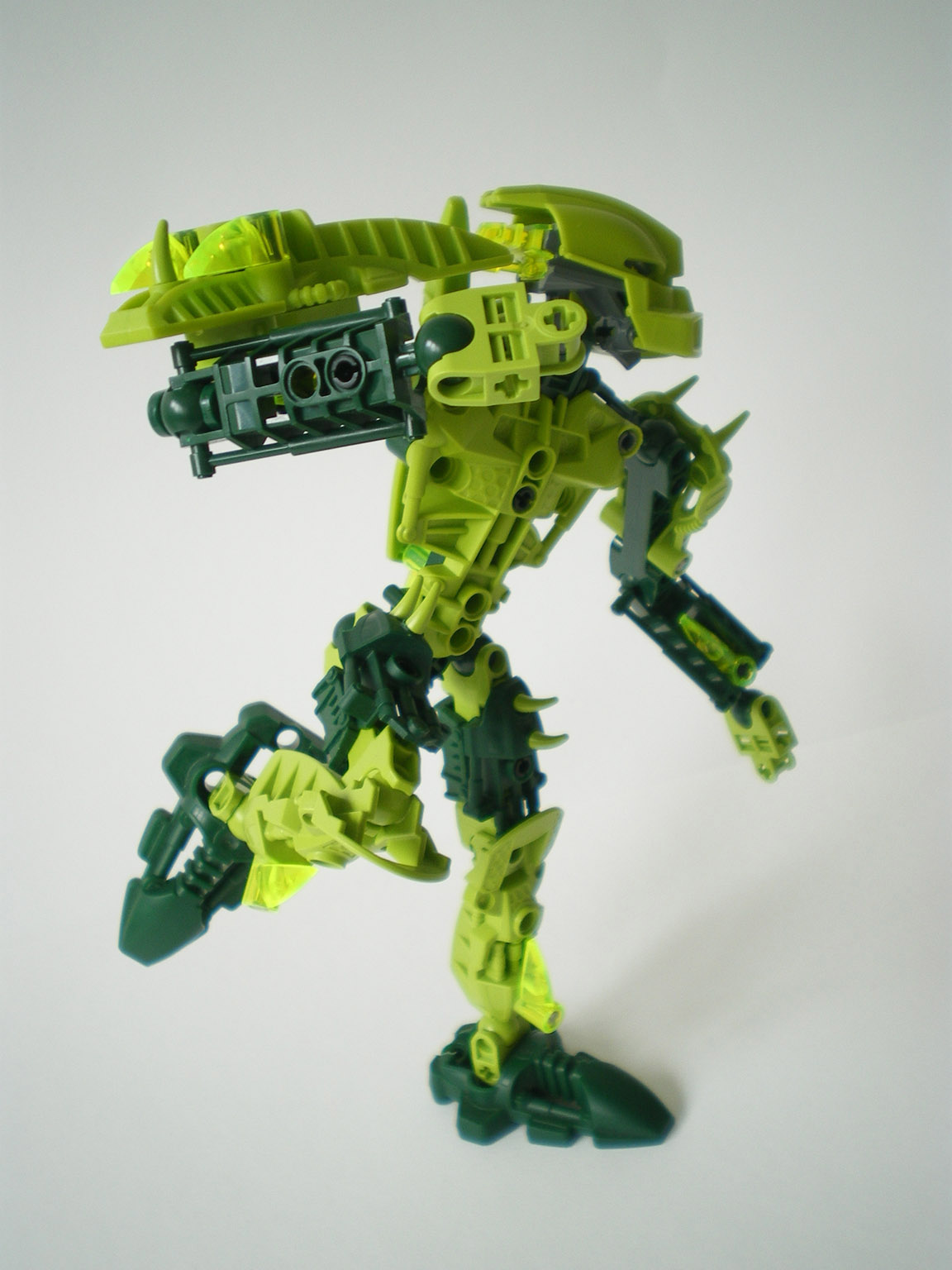 imgp5173.jpg