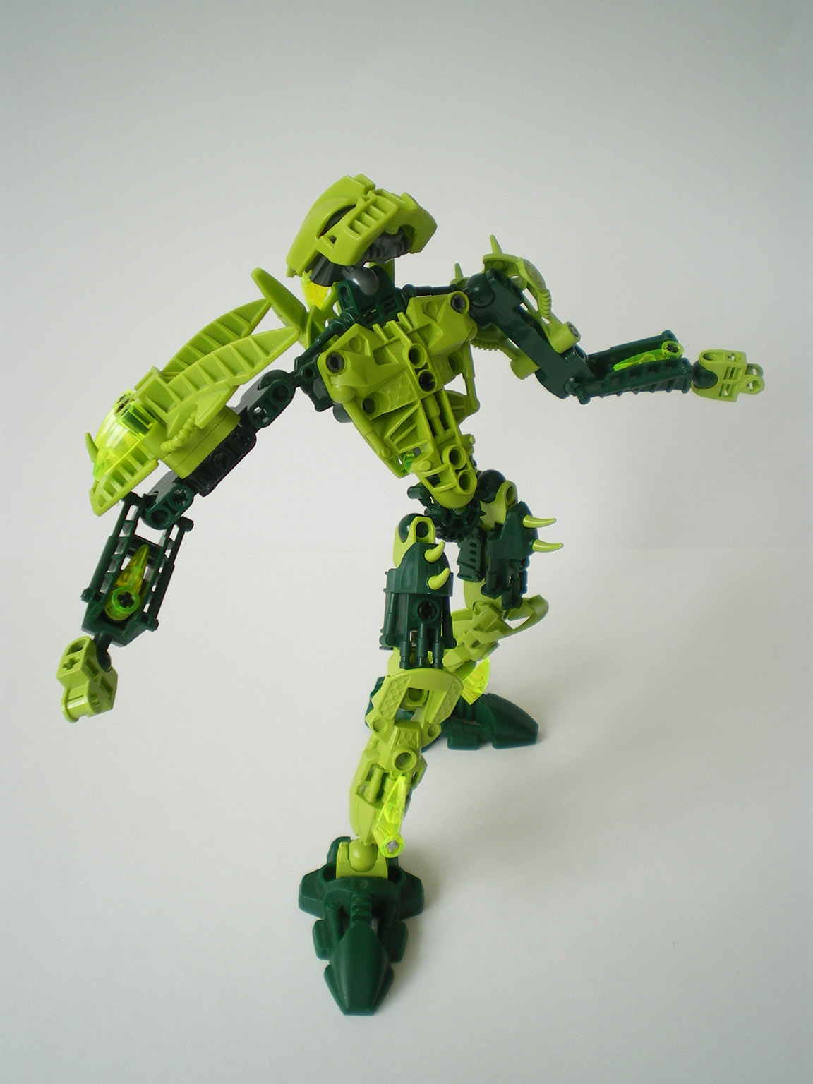 imgp5175.jpg