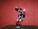 Toa-Kyubi