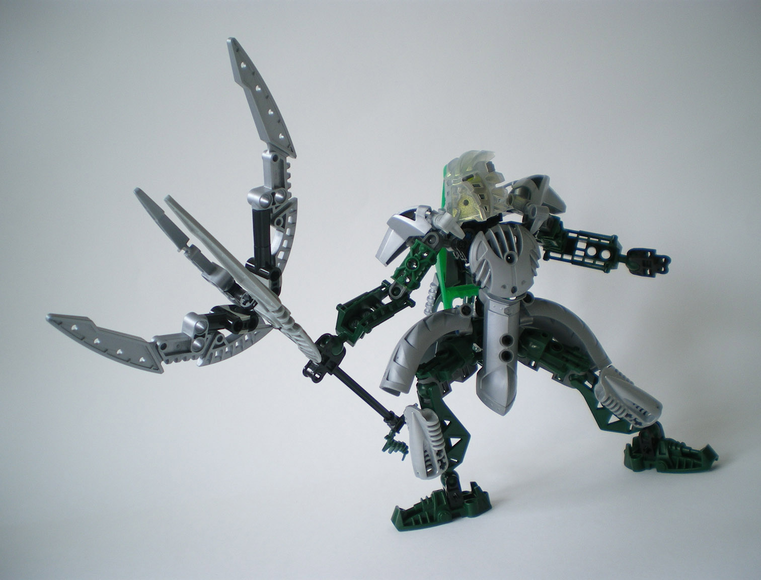 imgp8555.jpg