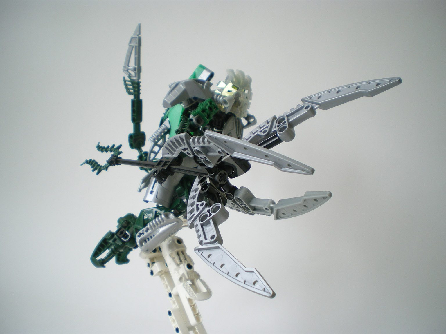 imgp8565.jpg