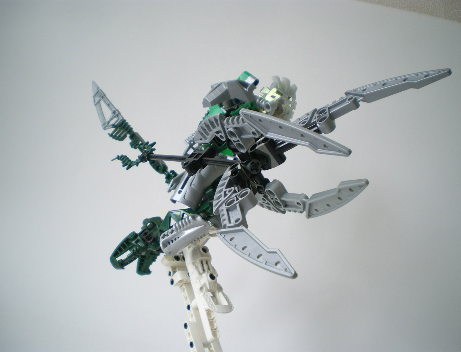 imgp8567.jpg