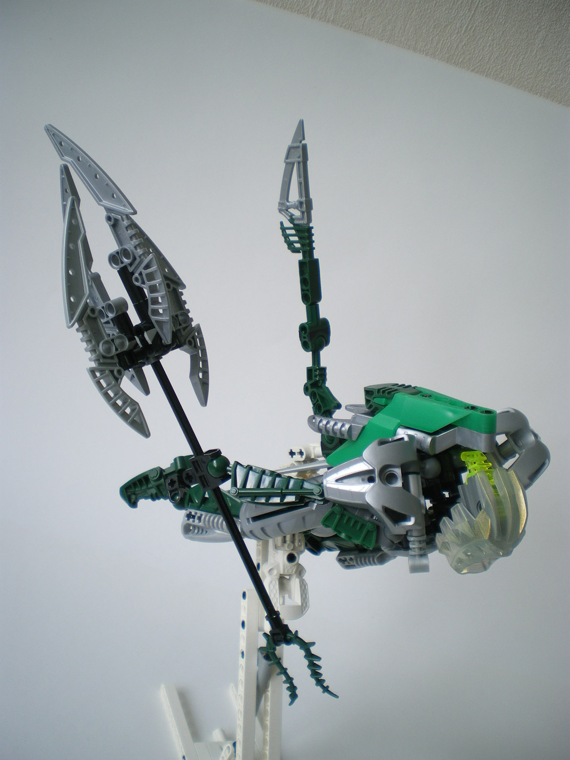 imgp8574.jpg