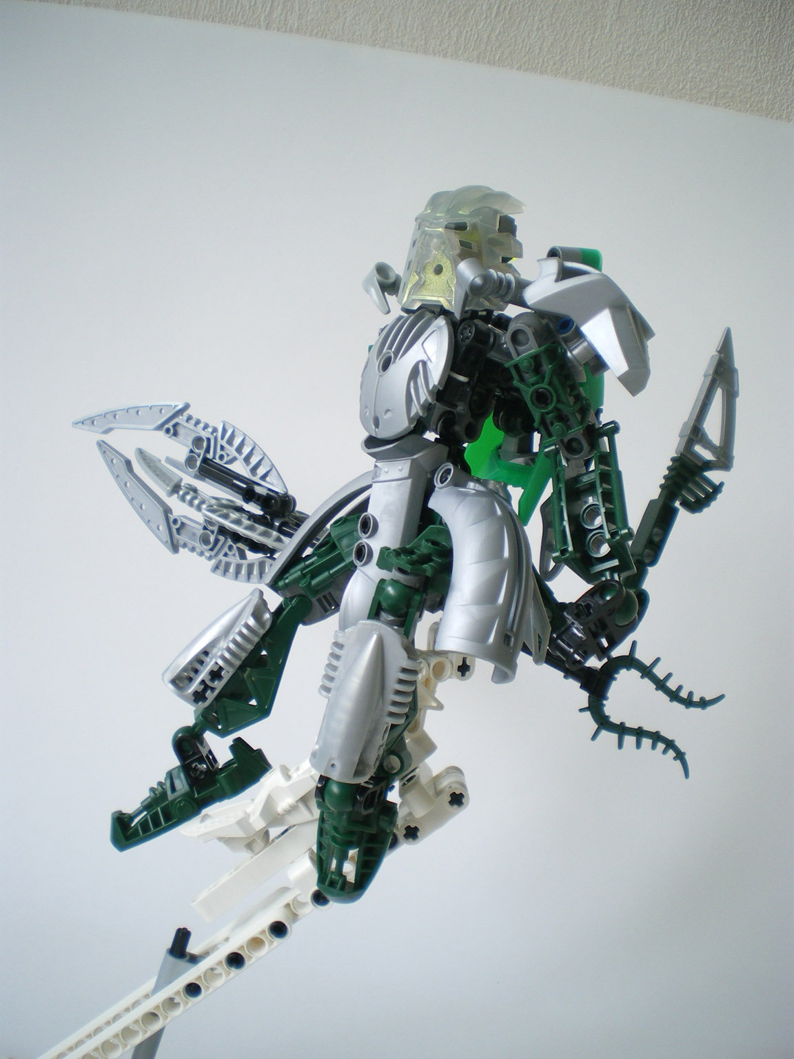 imgp8576.jpg