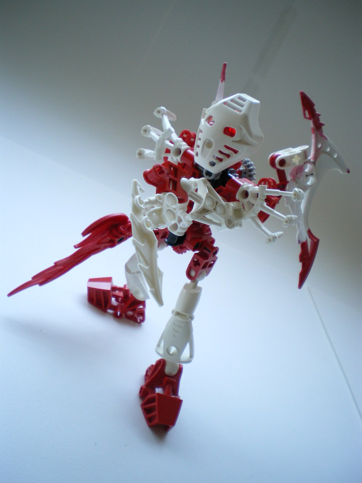 imgp0698.jpg