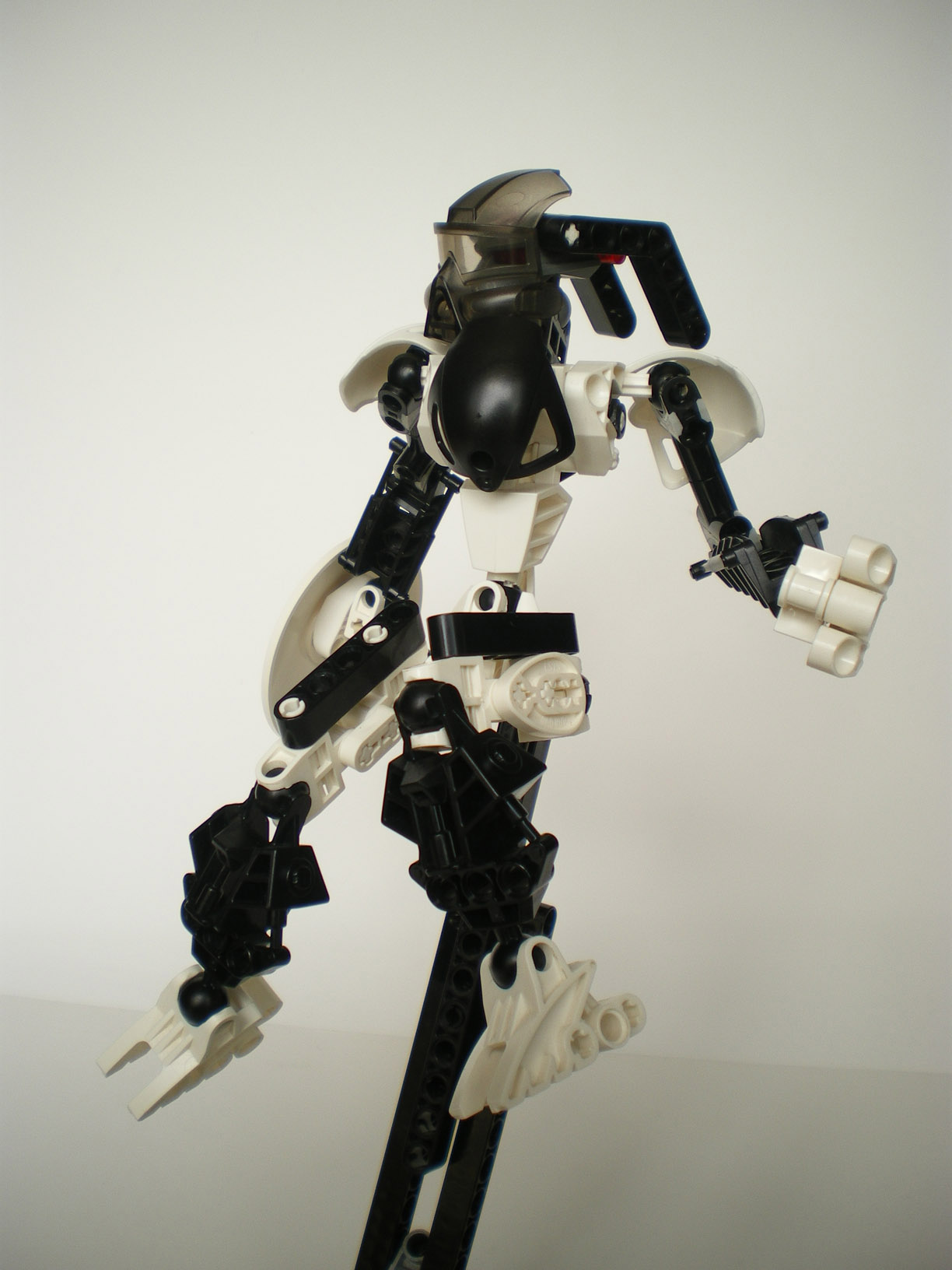 imgp3317.jpg