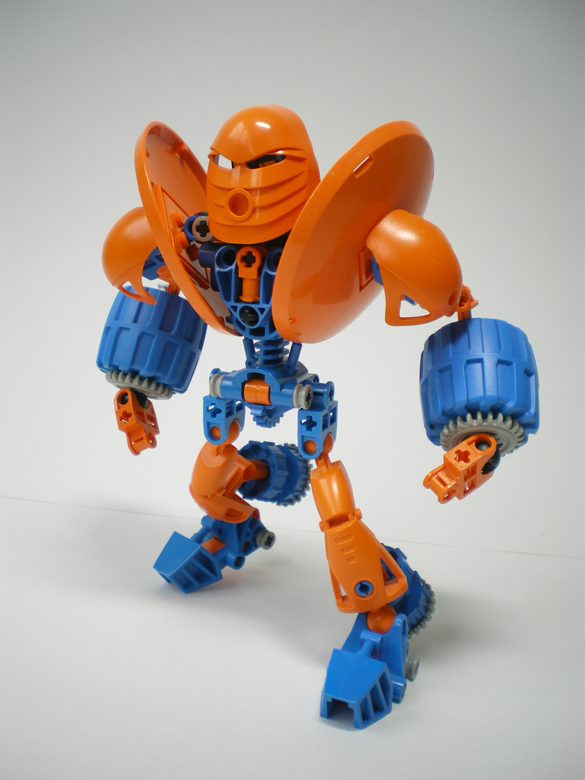 imgp8558.jpg