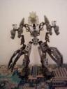 Toa-Seitu