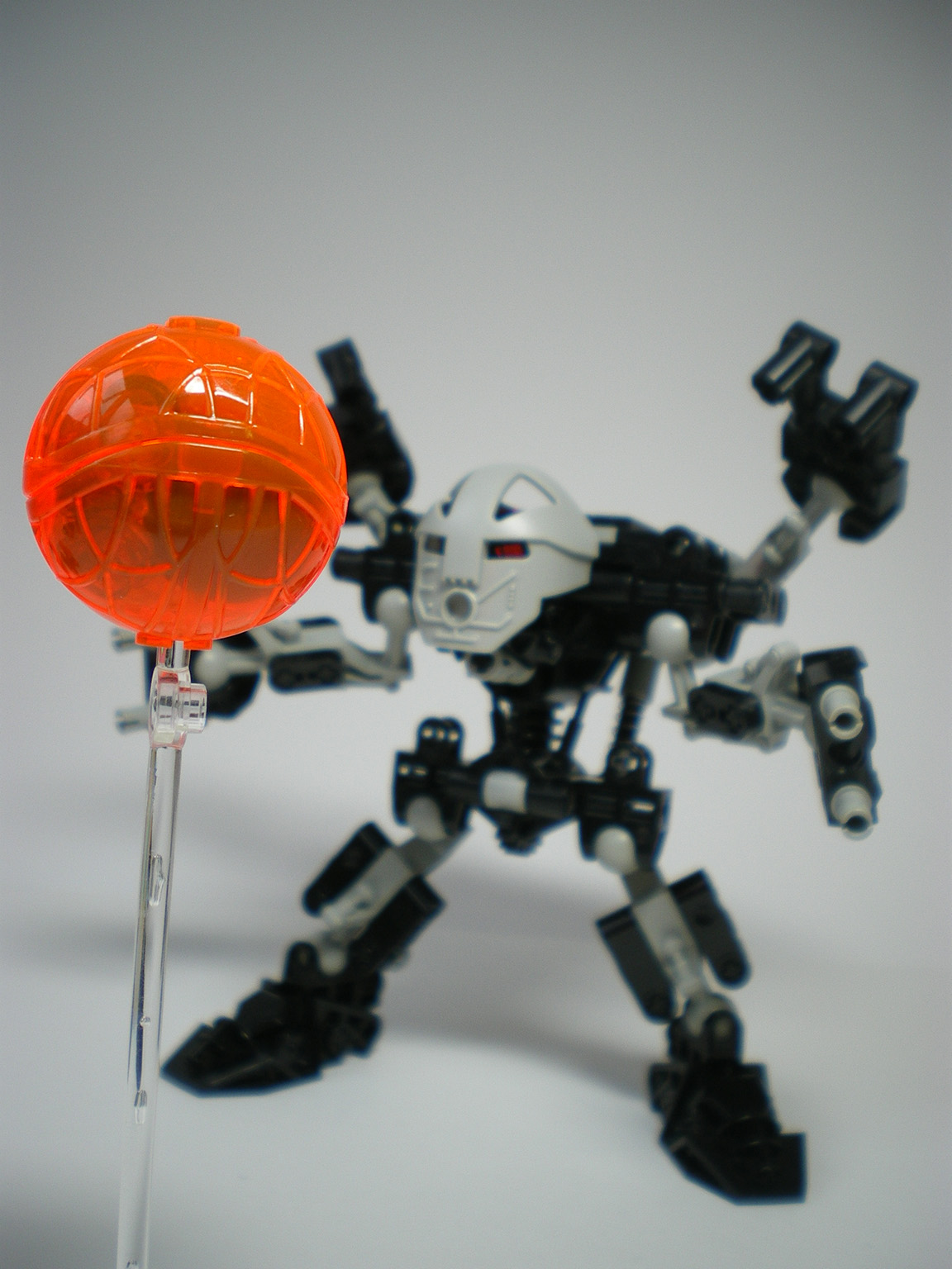imgp8719.jpg