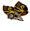 animated_mothra.gif