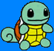 cutesquirtle.png