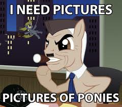 pics_of_ponies.jpg