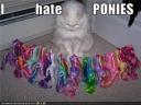 ponyhate.jpg