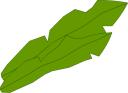 seaweed.png