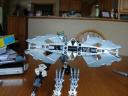dsc00779.jpg