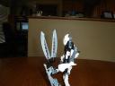 dsc00793.jpg