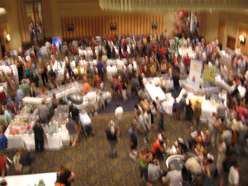 bf08_activities_16_public.jpg