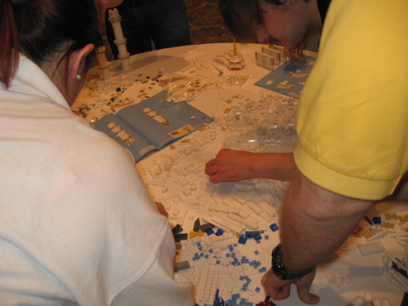 bf08_activities_27_taj_build.jpg