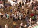 tn_bf08_activities_24_public.jpg