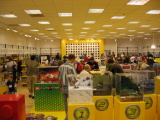 tn_bf08_activities_11_rotb.jpg