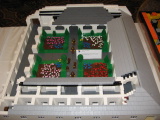 tn_bf08_p_and_c_28.jpg