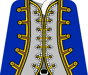 torso_-_lord_french_admiral.png