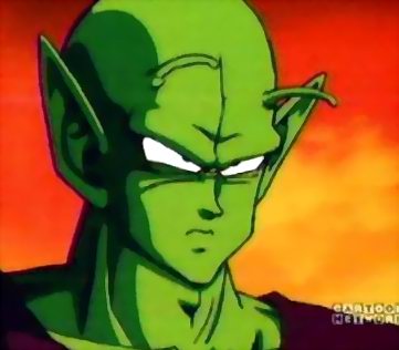 piccolo.jpg