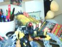 dsc00173.jpg
