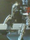 dsc00426.jpg