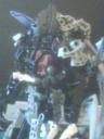 dsc00428.jpg