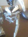 dsc00431.jpg