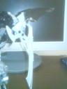 dsc00442.jpg