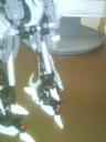 dsc00443.jpg