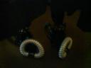 dsc00054.jpg