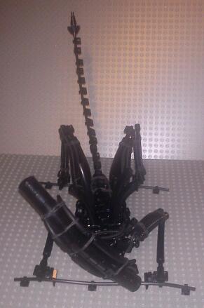 img_20120118_054650-1.jpg