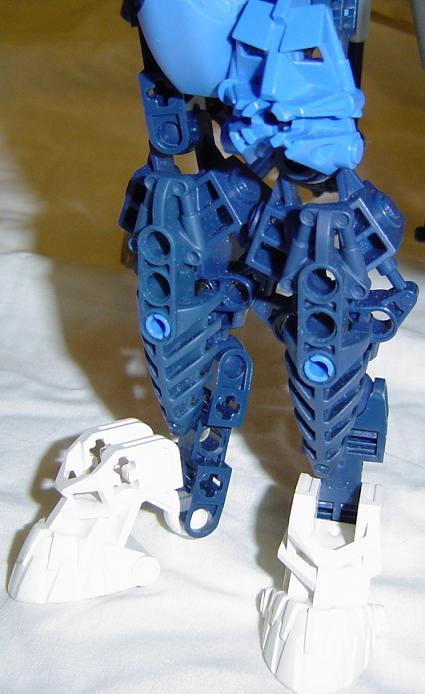 centoa_front_legs.jpg