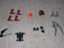 dscf0250.jpg