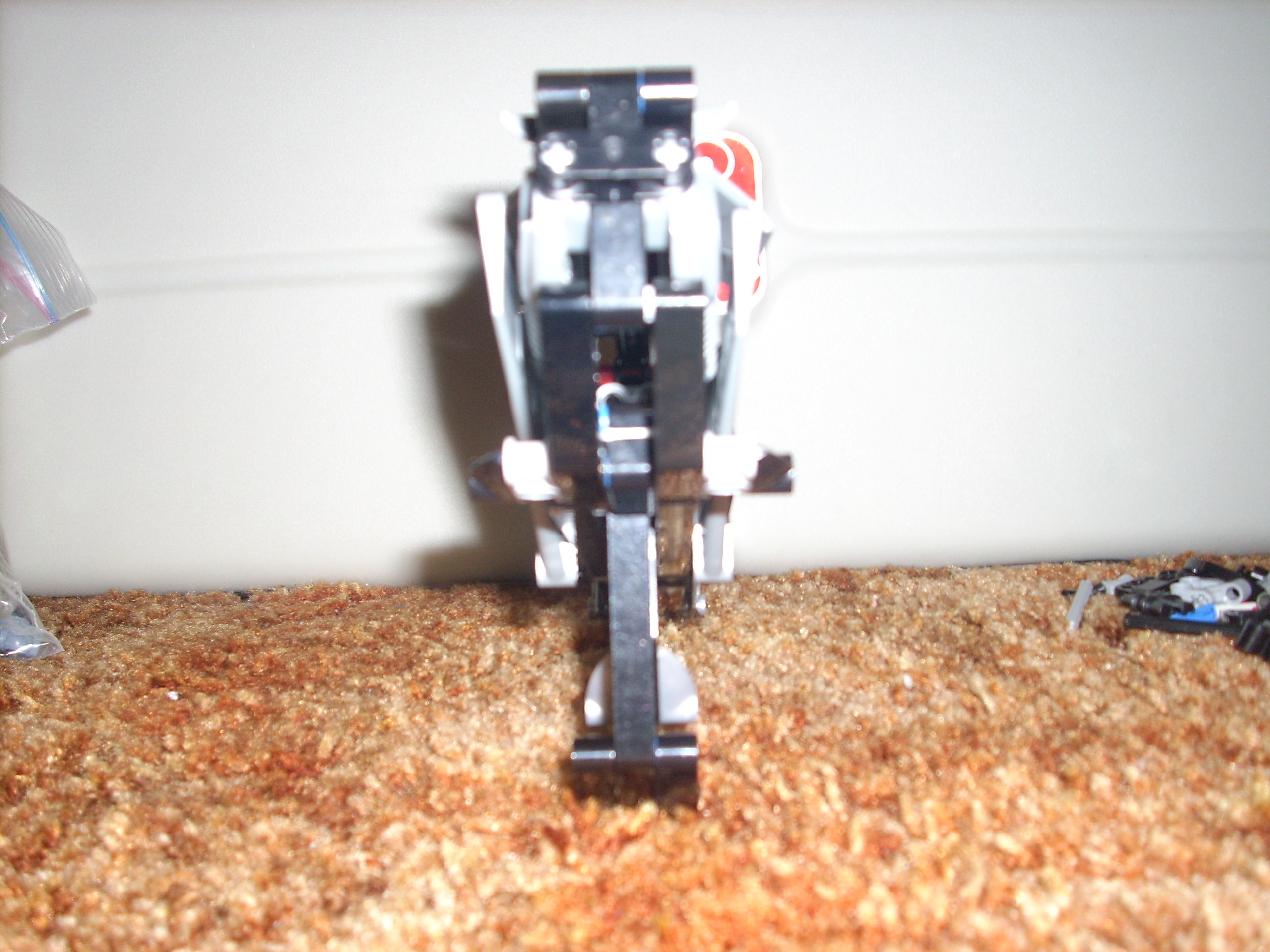 dsci0024.jpg