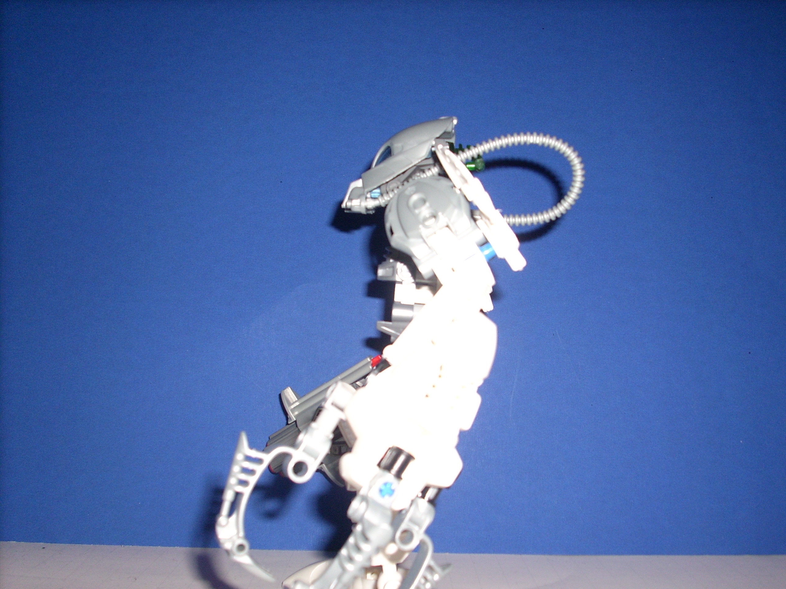 dsci0005.jpg