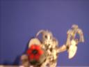 dsci0002.jpg
