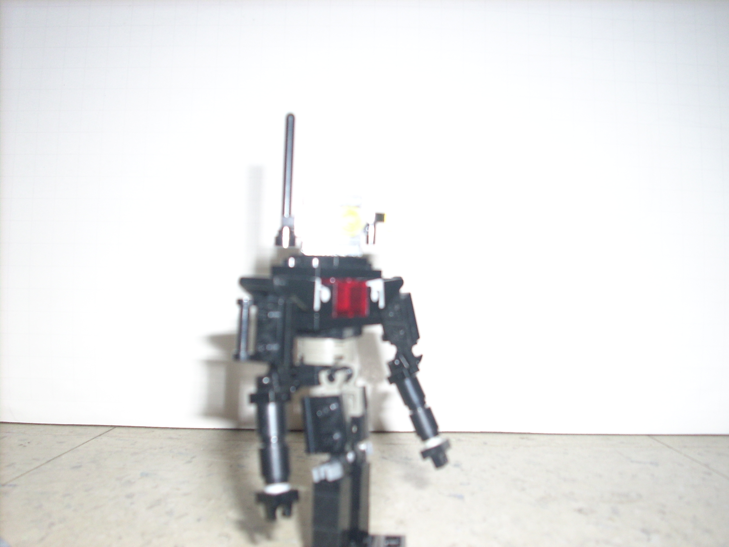 dsci0011.jpg