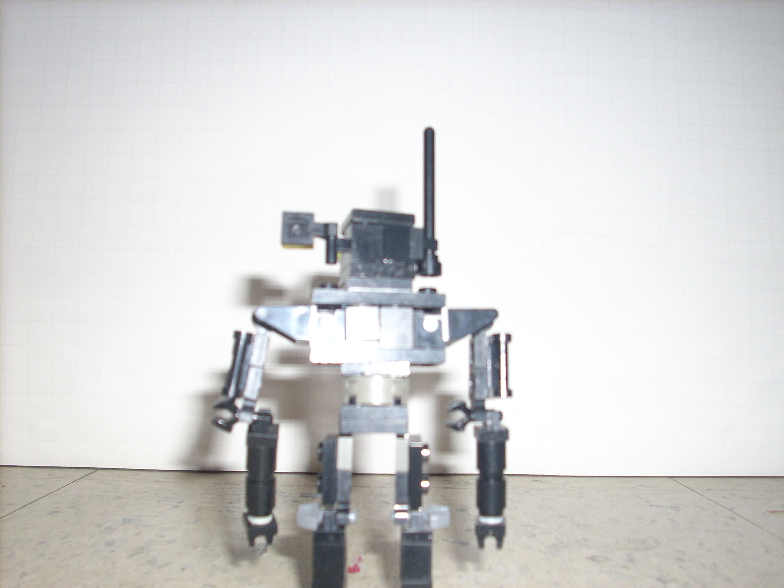 dsci0012.jpg