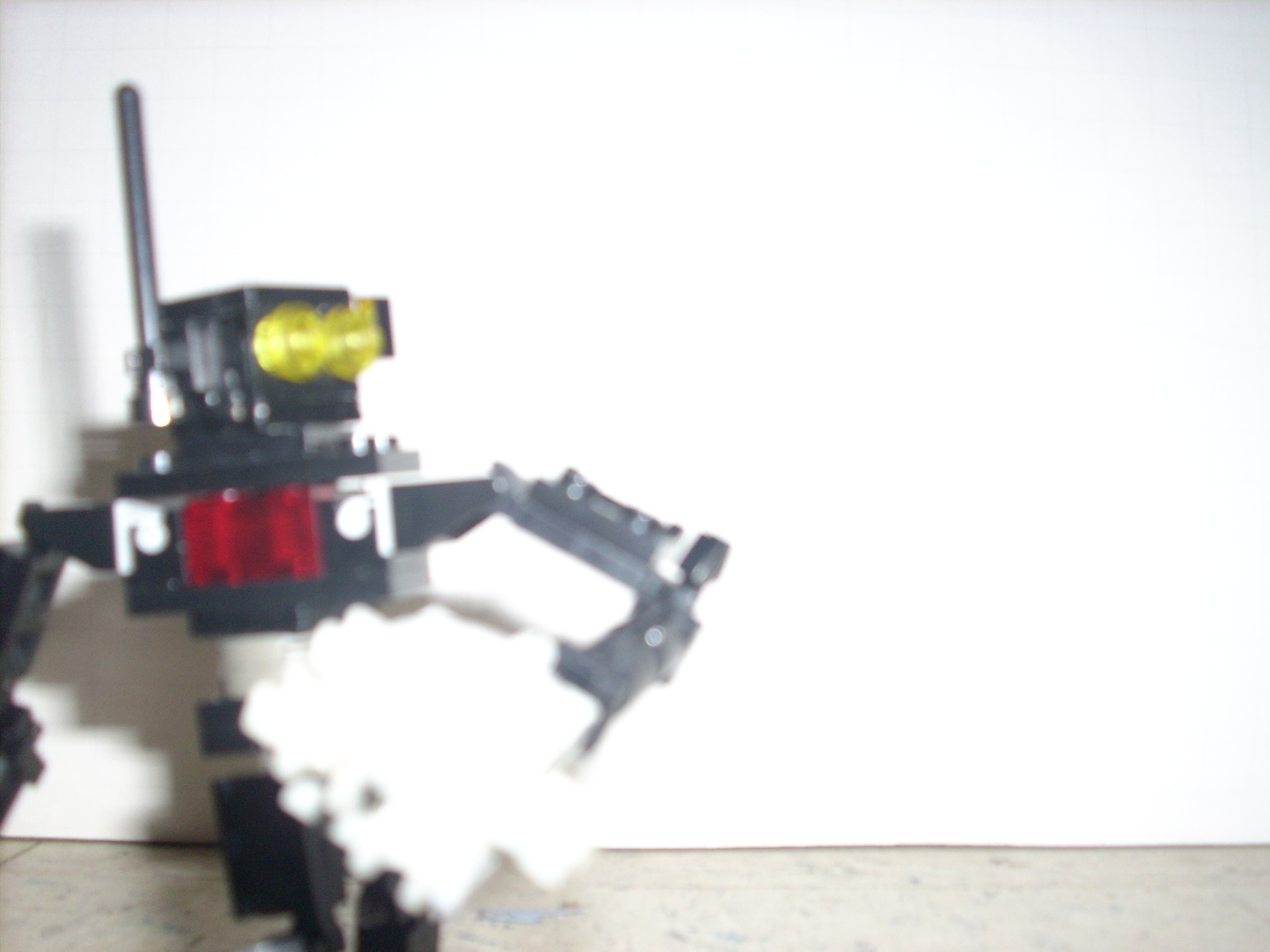 dsci0019.jpg