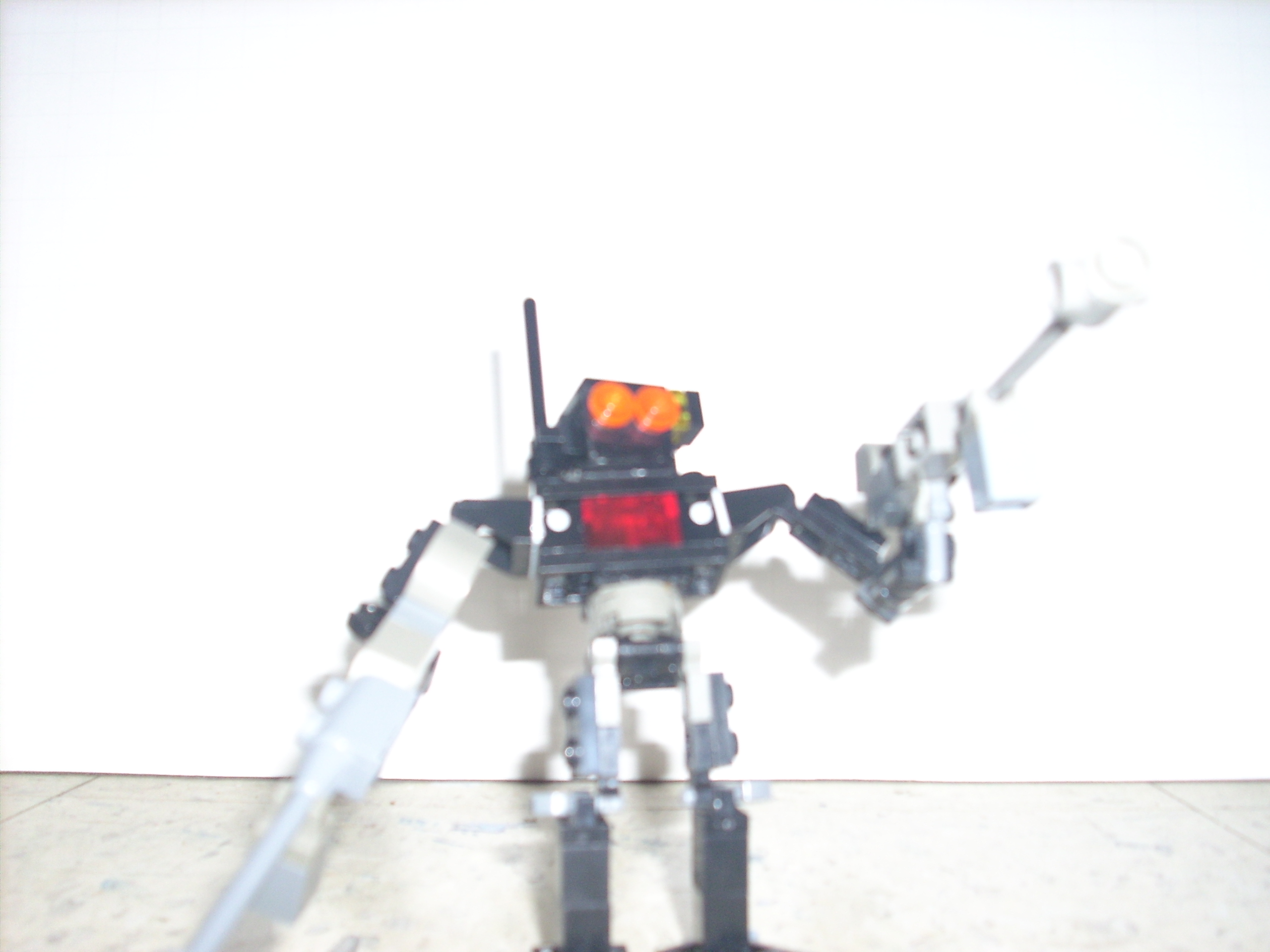 dsci0024.jpg