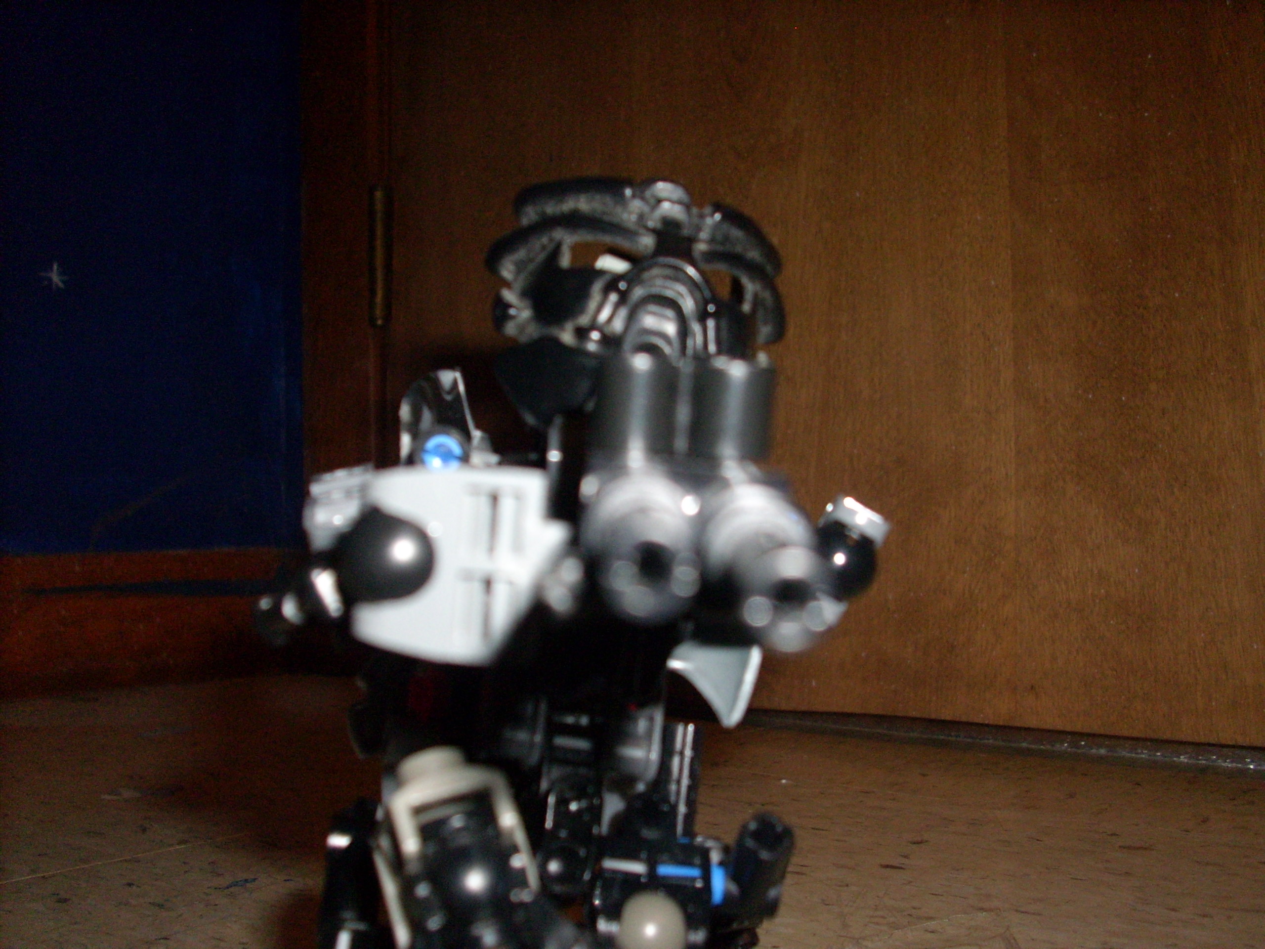 1--pose.jpg
