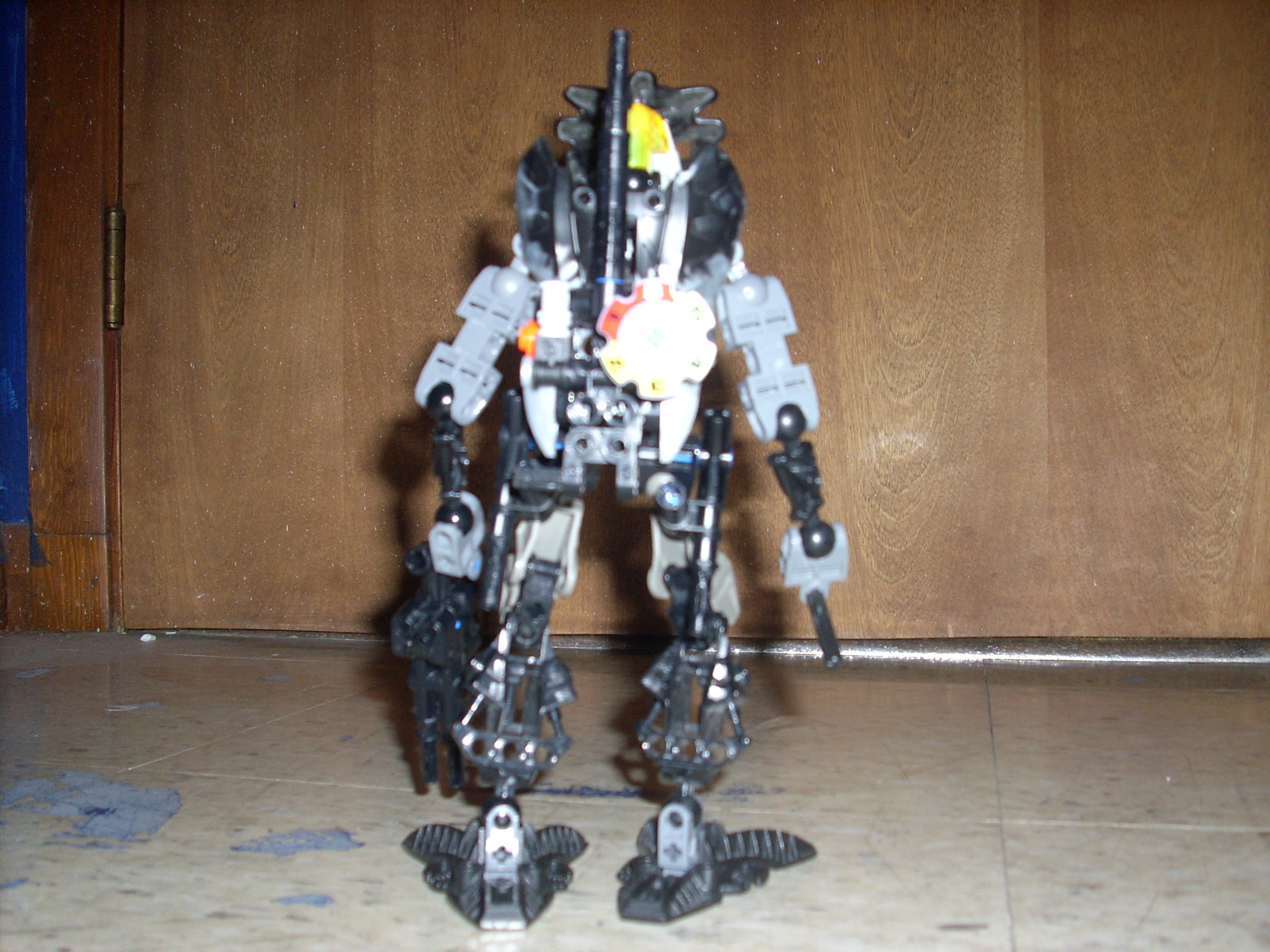 4--back.jpg